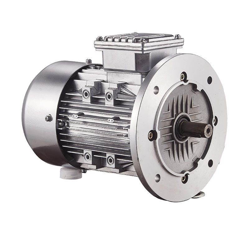 YL Series Single-phase Motor