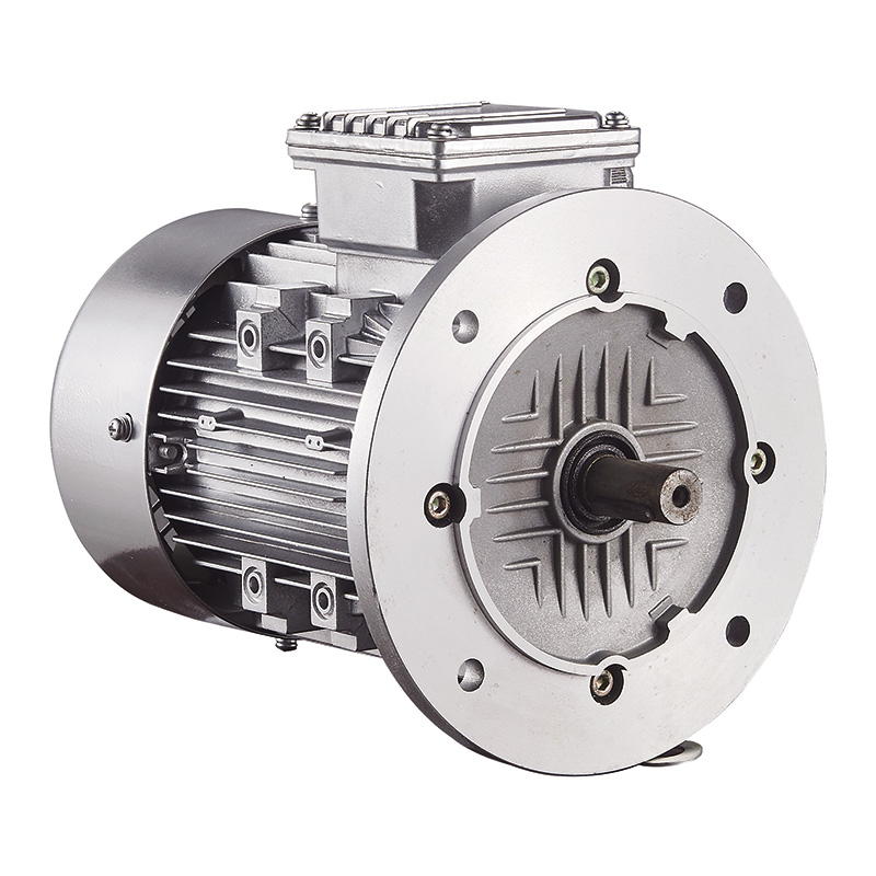 YL Series Single-phase Motor