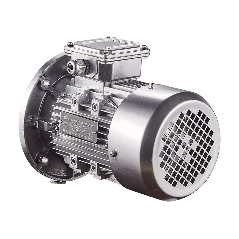 YL Series Single-phase Motor